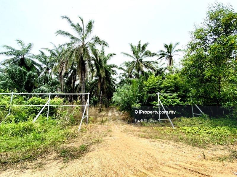 Agricultural Land for Sale in Saujana KLIA, Kota Warisan, Sepang by Fazli Shahar - iProperty.com.my