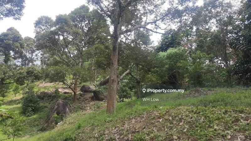 Industrial Land for Sale in Bayan Lepas, Penang, Bayan Lepas by WH Low - iProperty.com.my