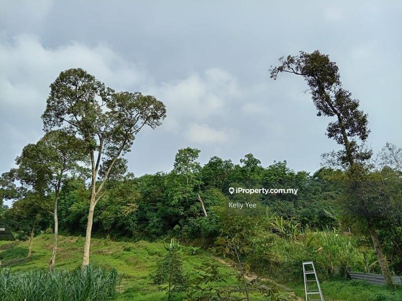 Tanah Pertanian untuk Dijual di Durian Orchard Farm @ Machang Bubok for Sale, Bukit Mertajam oleh Kelly Yee - iProperty.com.my