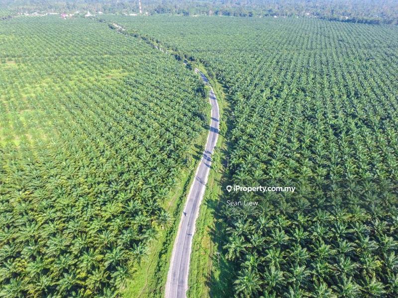 Agricultural Land for Sale in Gua Musang, Kelantan by Sean Liew - iProperty.com.my