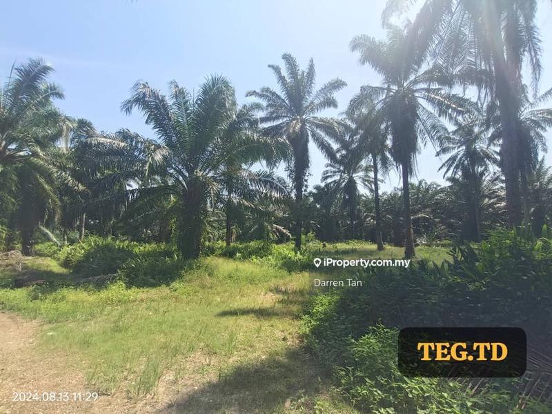 Agricultural Land for Sale in Kampung Jenjarom, Jenjarom, Selangor, Jenjarom by Darren Tan - iProperty.com.my