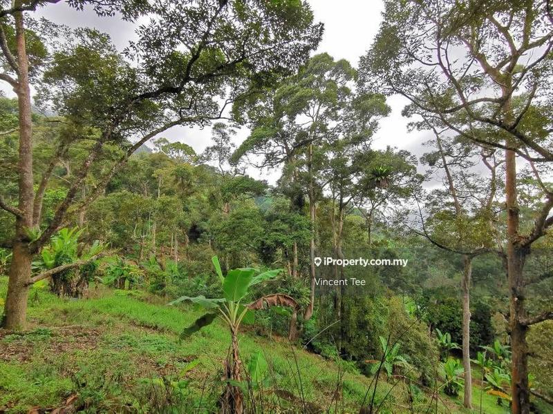 Tanah Pertanian untuk Dijual di Bukit Relau, Balik Pulau oleh Vincent Tee - iProperty.com.my