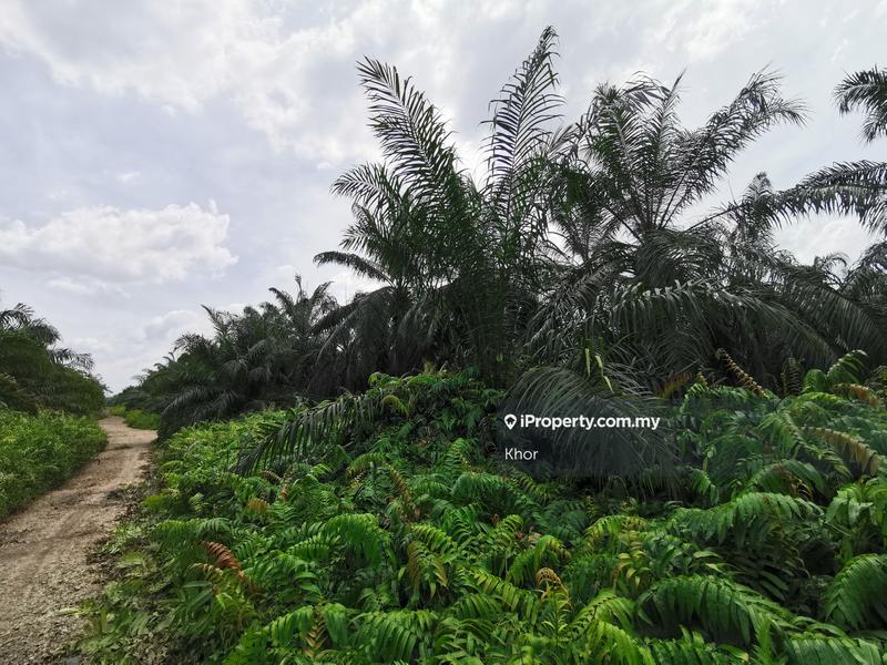 Agricultural Land for Sale in Changkat, Nibong Tebal by Khor - iProperty.com.my
