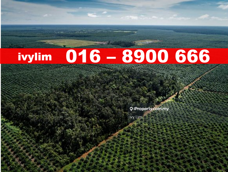 Agricultural Land for Sale in Teluk Panglima Garang, Banting by Ivy Lim - iProperty.com.my
