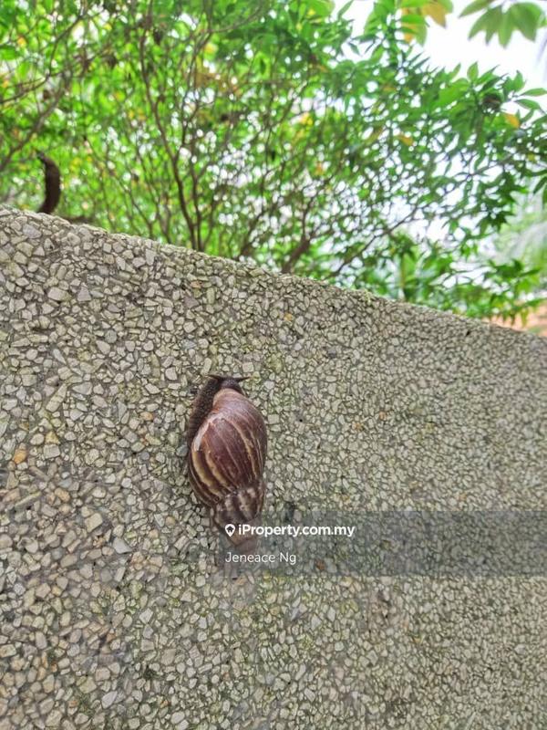 Condominium for Sale in Atmosfera Kondominium by Jeneace Ng - iProperty.com.my