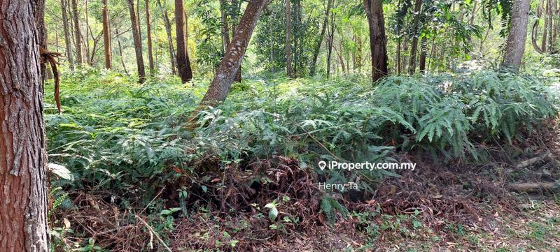 Bungalow Land for Sale in Bukit Tinggi, Bentong by Henry Ta - iProperty.com.my