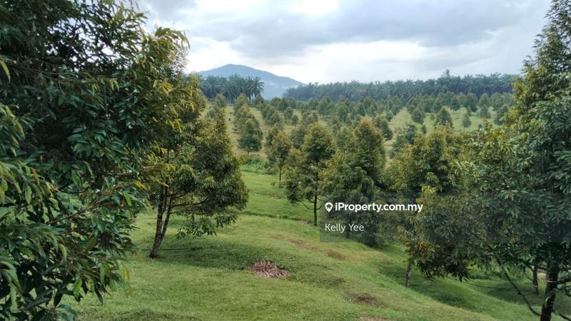 Tanah Pertanian untuk Dijual di Kampung Sungai Terap, Serdang oleh Kelly Yee - iProperty.com.my