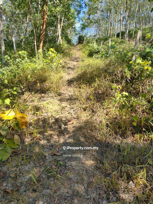 Tanah Pertanian untuk Dijual di Karak, Pahang oleh Irene Leong - iProperty.com.my