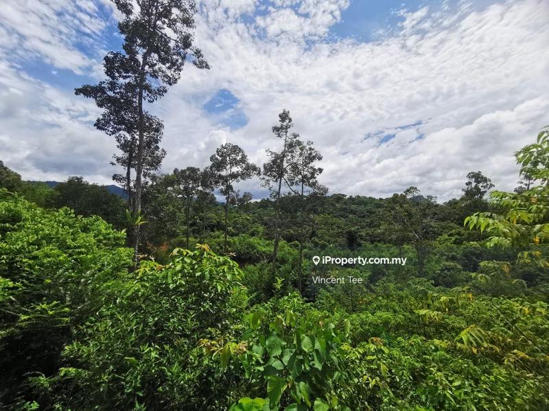 Tanah Pertanian untuk Dijual di Bandar Raub Perdana, Raub oleh Vincent Tee - iProperty.com.my