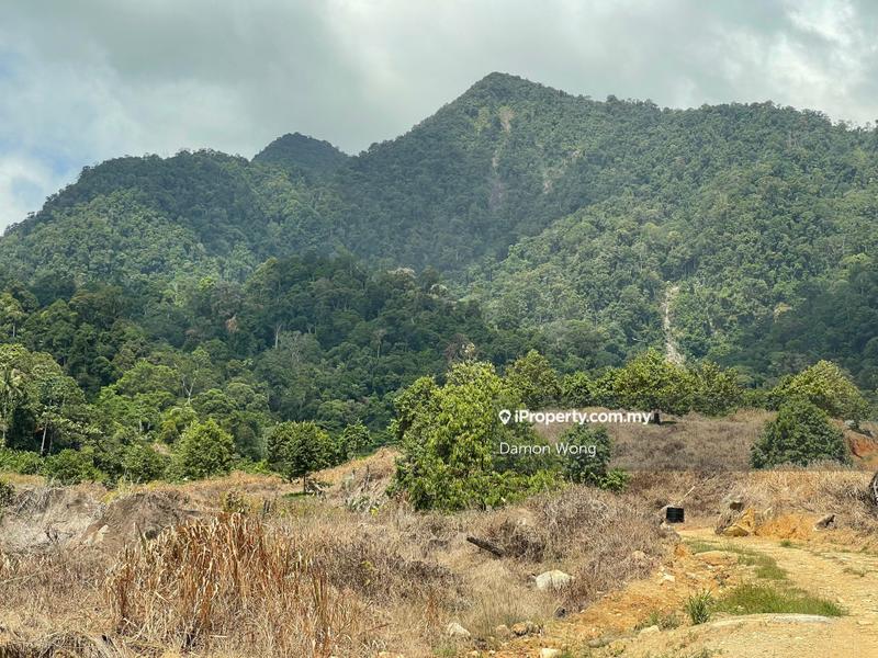 Agricultural Land for Sale in Karak, Bentong by Damon Wong - iProperty.com.my