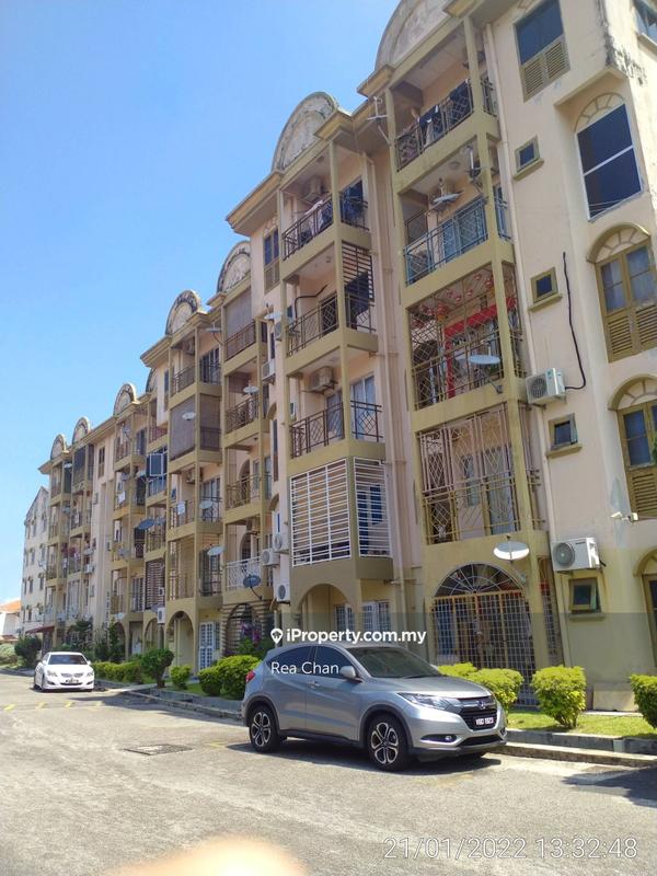 For Sale - Golden Showers (Kondo Ruby)