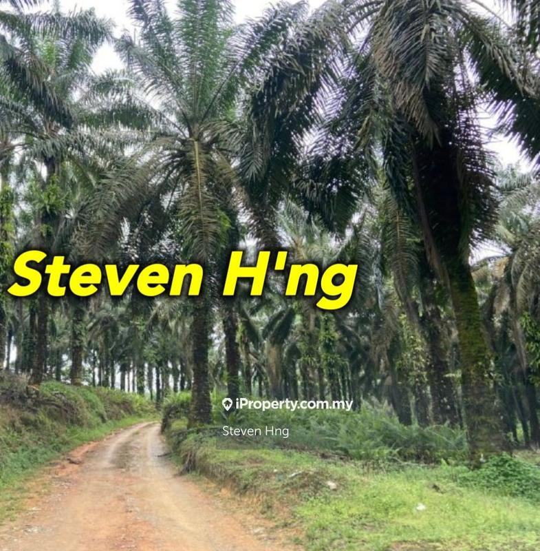 For Sale - Gurun Kedah Industry Zoning Freehold Road Side Land