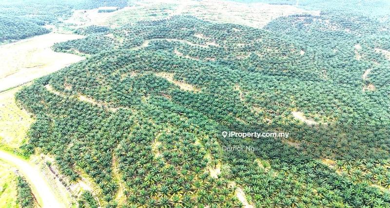 Tanah Pertanian untuk Dijual di Taman Kuala Ketil, Tawar oleh Derrick Ng - iProperty.com.my