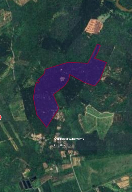 Agricultural Land for Sale in Pengkalan Gawi, Kuala Berang by CC Khor - iProperty.com.my