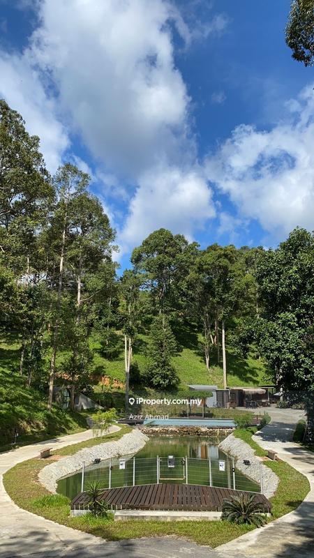 Agricultural Land for Sale in Taman Jelebu, Kuala Klawang by Aziz Ahmad - iProperty.com.my