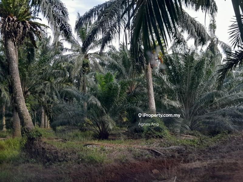 For Sale - Kawasan perusahaan telok mengkuang