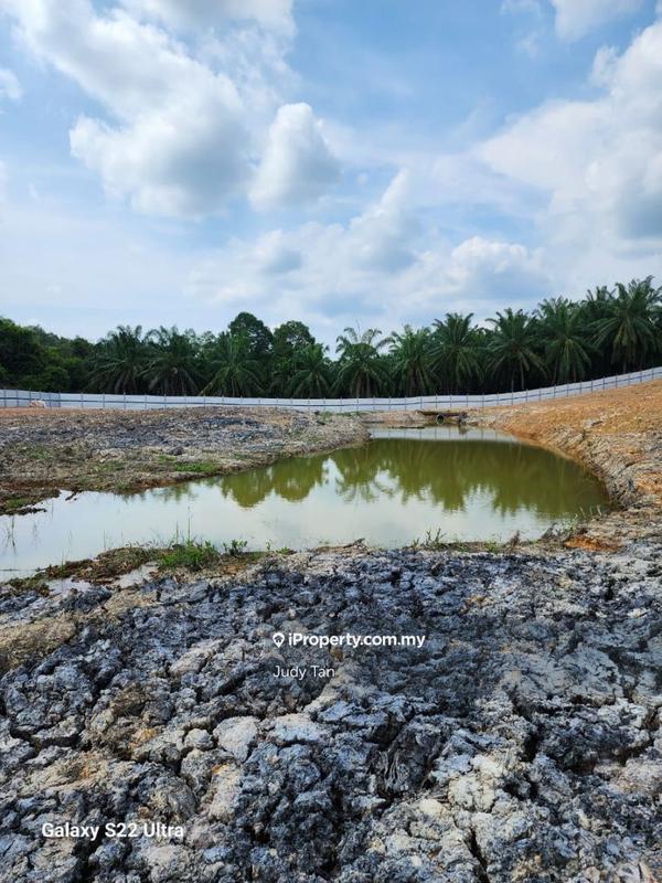 Tanah Pertanian untuk Dijual di Mentakab, Pahang oleh Judy Tan - iProperty.com.my