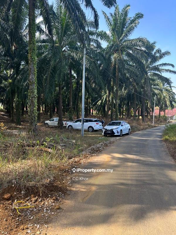 Tanah Kediaman untuk Dijual di Hulu Terengganu, Terengganu oleh CC Khor - iProperty.com.my