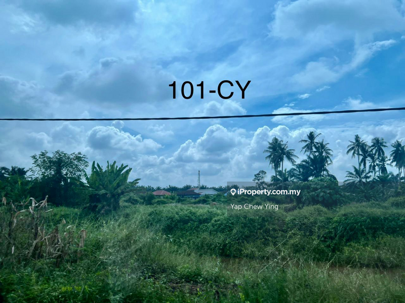 Agricultural Land for Sale in Bandar Parklands, Klang by Yap Chew Ying - iProperty.com.my