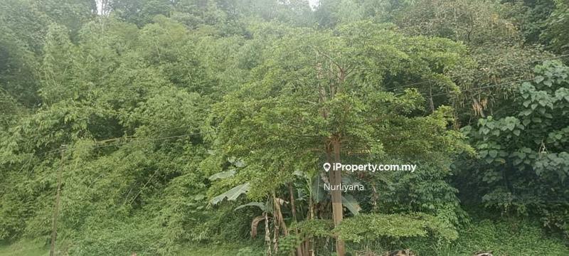 Tanah Pertanian untuk Dijual di Janda Baik, Bentong oleh Nurliyana - iProperty.com.my