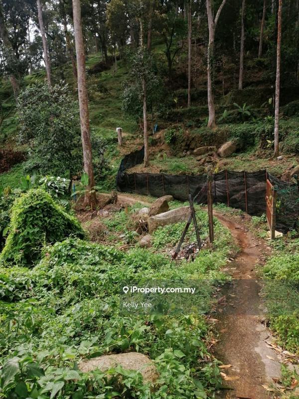 Agricultural Land for Sale in Bukit Mertajam Hill, Bukit Mertajam by Kelly Yee - iProperty.com.my
