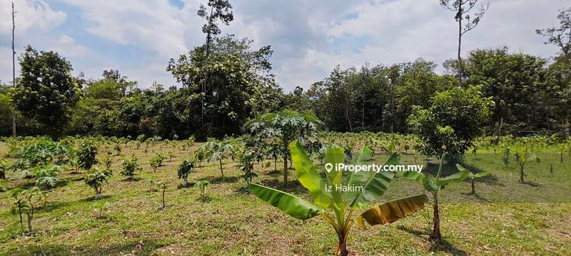 Agricultural Land for Sale in Batang Kali, Selangor by Iz Hakim - iProperty.com.my