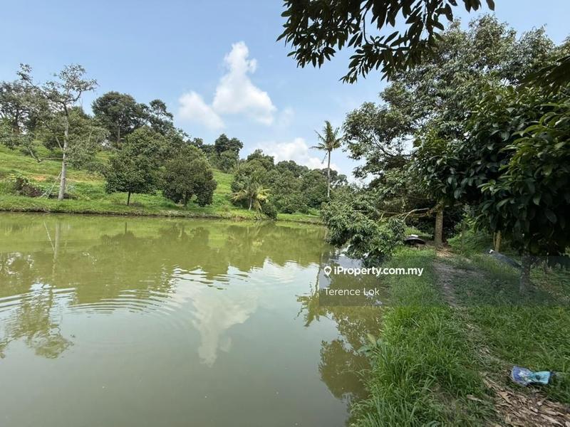 Tanah Pertanian untuk Dijual di Hosapa, Titi oleh Terence Lok - iProperty.com.my