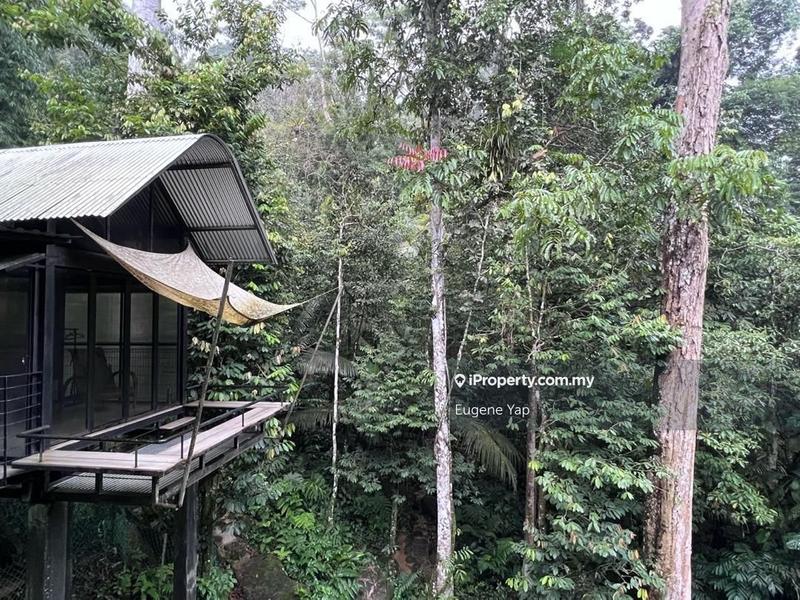 Tanah Pertanian untuk Dijual di 3 Acre Resort,Tanarimba @ Janda Baik, Bukit Tinggi, Bentong oleh Eugene Yap - iProperty.com.my