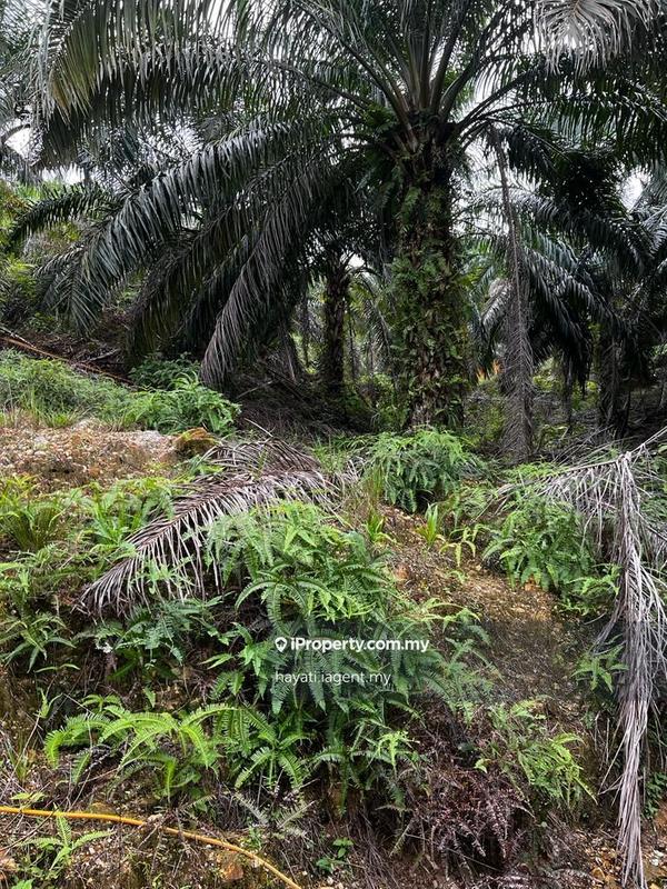 Industrial Land for Sale in Sepang, Selangor by hayati.iagent.my - iProperty.com.my