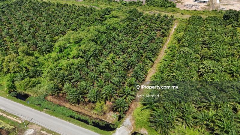 Agricultural Land for Sale in Kampung Jenjarom, Jenjarom by Aziz Ahmad - iProperty.com.my