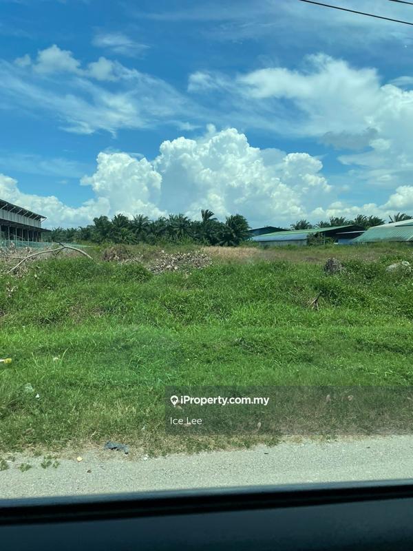 For Rent - telok mengkuang agricultural land for rent,Tpg,Kuala Langat,Jenjarom