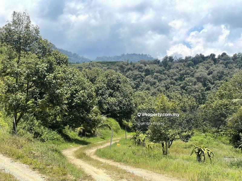 Tanah Pertanian untuk Dijual di Karak, Bentong oleh Damon Wong - iProperty.com.my