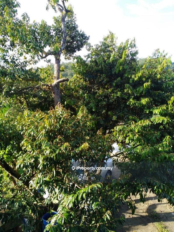 Tanah Pertanian untuk Dijual di Kampung Ulu Perting, Bentong oleh Li-Shun - iProperty.com.my