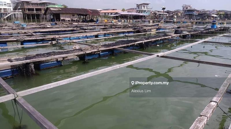 Agricultural Land for Sale in Kukup, Pontian by Alexius Lim - iProperty.com.my