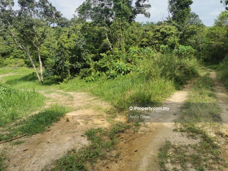 Agricultural Land for Sale in Seremban, Ampangan by Anita Omar - iProperty.com.my