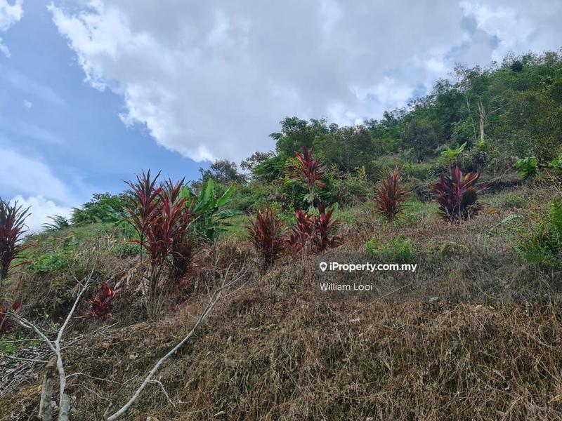 Agricultural Land for Sale in Kampung Tras, Raub by William Looi - iProperty.com.my