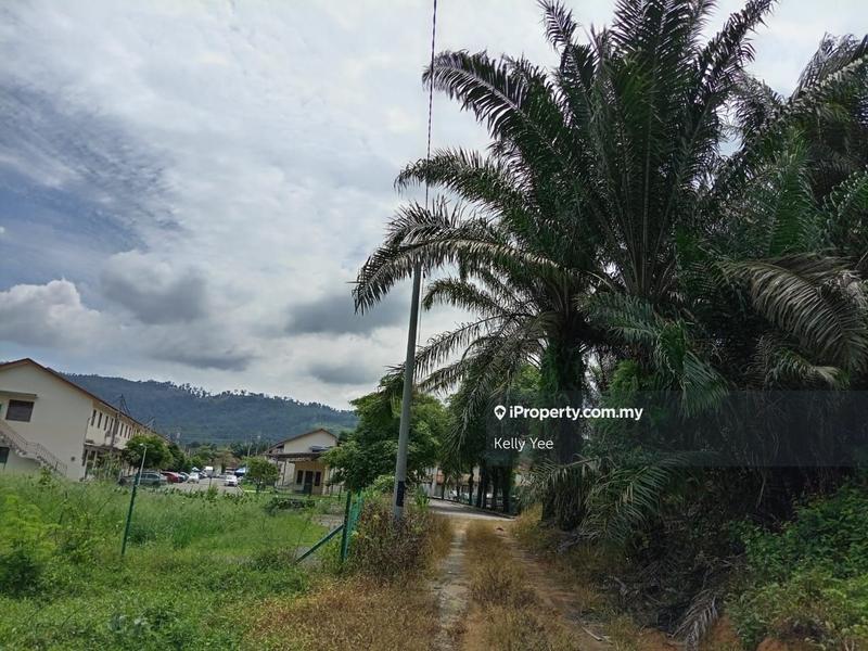 Tanah Pertanian untuk Dijual di Palm Oil Plantation @ Sg. Duri, Sungai Jawi - Sale, Sungai Jawi oleh Kelly Yee - iProperty.com.my