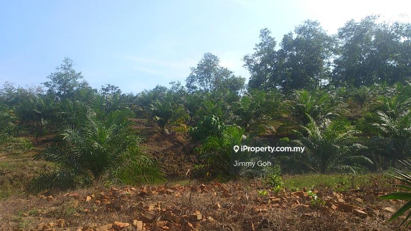 Tanah Pertanian untuk Dijual di Kerling, Kerling oleh Jimmy Goh - iProperty.com.my
