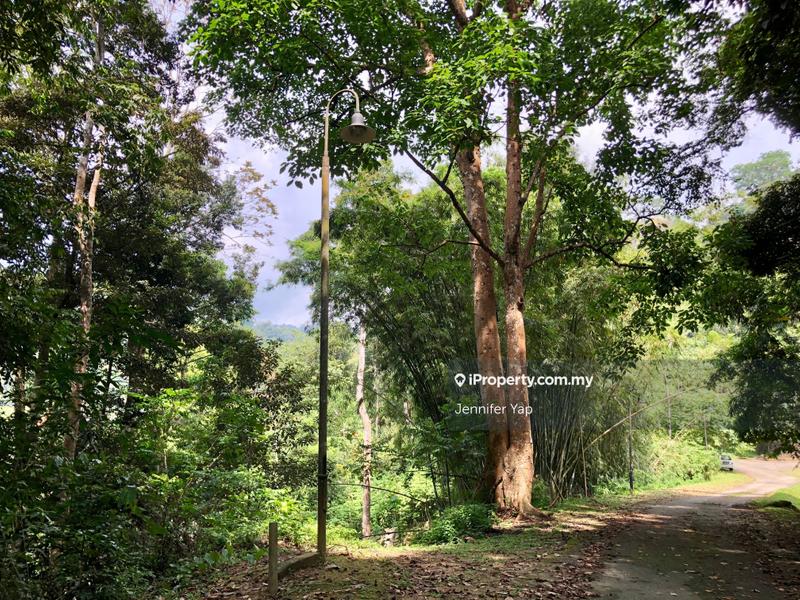 Tanah Kediaman untuk Dijual di Janda Baik, Bentong oleh Jennifer Yap - iProperty.com.my