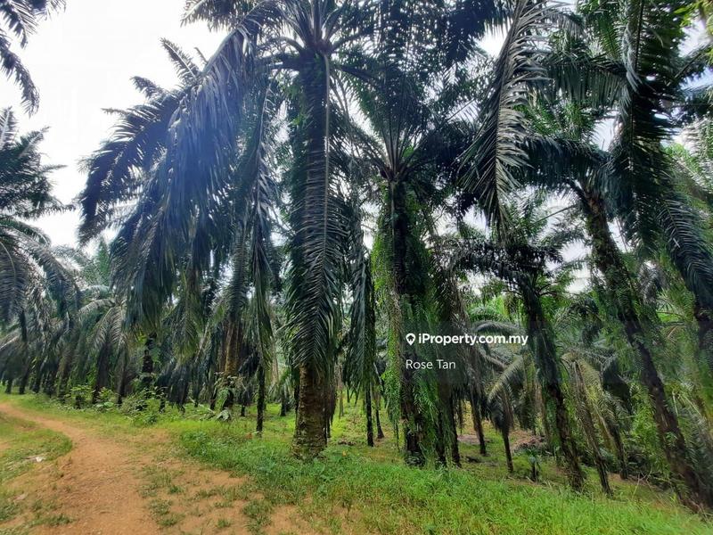 Agricultural Land for Sale in Kuala Sawah, Rantau by Rose Tan - iProperty.com.my
