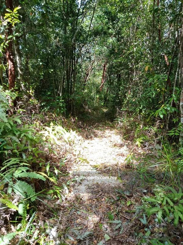 Agricultural Land for Sale in Teluk Bahang, Penang by Zusain Tan - iProperty.com.my