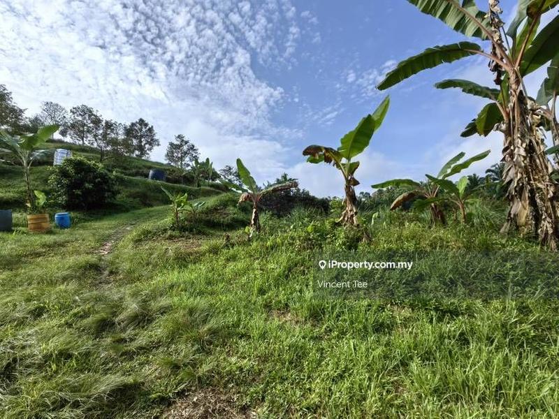 Agricultural Land for Sale in Kampung Sega, Sega by Vincent Tee - iProperty.com.my