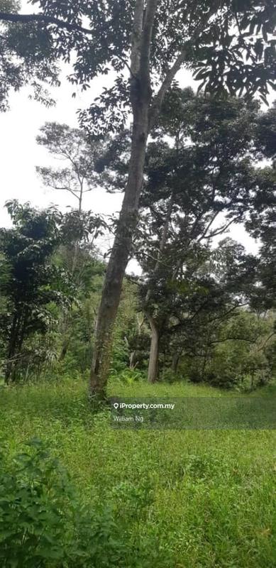 Tanah Pertanian untuk Dijual di Taman Jelebu, Kuala Klawang oleh William Ng - iProperty.com.my