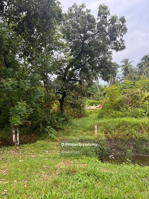 Agricultural Land untuk Dijual di Mukim Serkat, Kukup, Kukup oleh Alexius Lim - iProperty.com.my