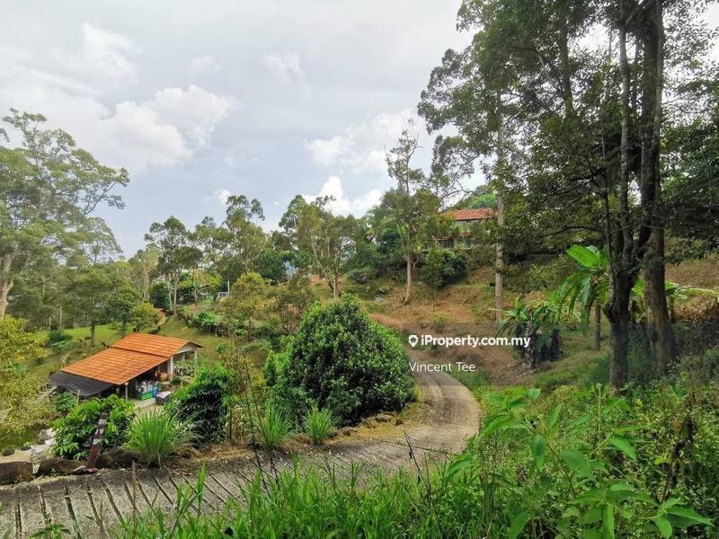 Tanah Pertanian untuk Dijual di Bukit Relau, Balik Pulau oleh Vincent Tee - iProperty.com.my