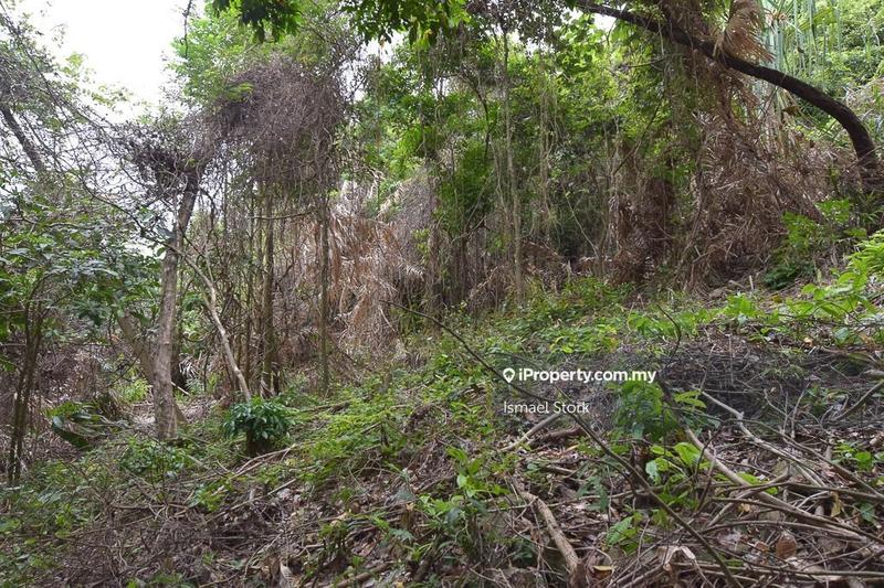 Agricultural Land for Sale in Langkawi, Kuah by Ismael Stork - iProperty.com.my