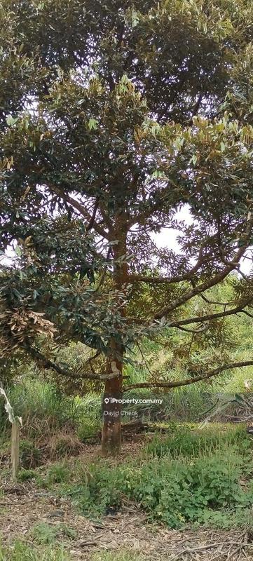 Agricultural Land for Sale in Near Kampung Semebok, Rembau by David Cheok - iProperty.com.my