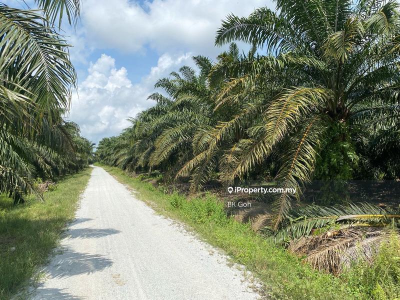 For Sale - SUNGEI SOBOLEW, Mukim Durian Sebatang