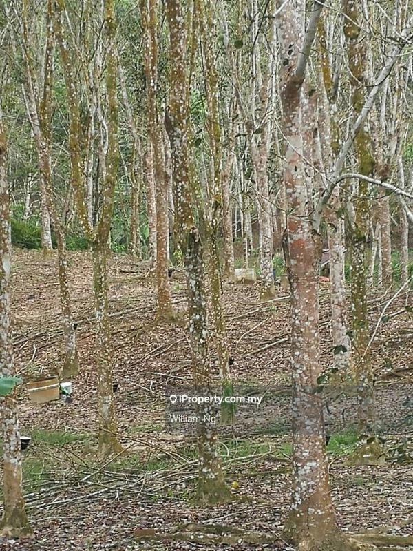 Tanah Pertanian untuk Dijual di Taman Jelebu, Kuala Klawang oleh William Ng - iProperty.com.my
