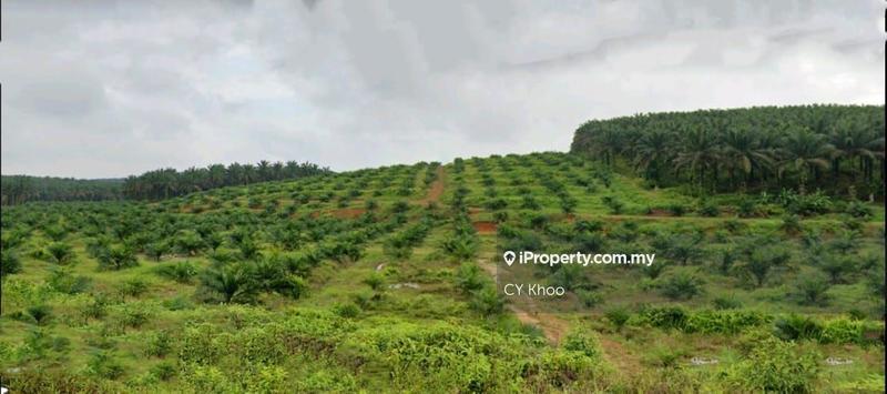 Agricultural Land for Sale in Johor Kulai 81000, Kulai by CY Khoo - iProperty.com.my